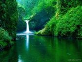 051203-3-nature.jpg