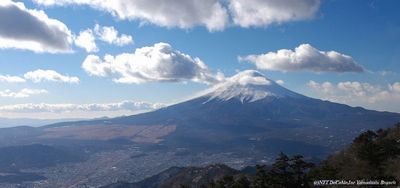 051222-1-fuji3.jpg