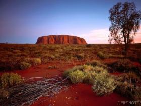 060104-1-nature.jpg