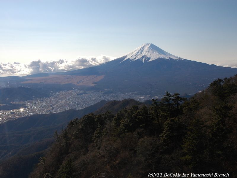 060115-3-fuji3.jpg