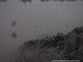 060121-8-fuji.jpg