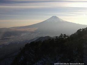 060126-4-fuji3_2.jpg