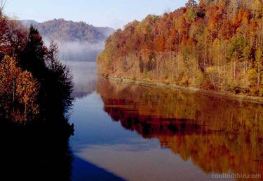 060131-1-nature.jpg