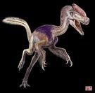 060213-3-Rex.jpg