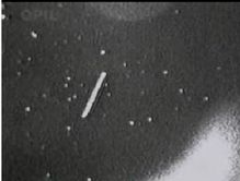 060213-7-NASA-UFO.jpg