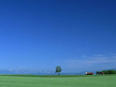 060216-1-nature1.jpg