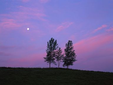 060218-1-nature.jpg