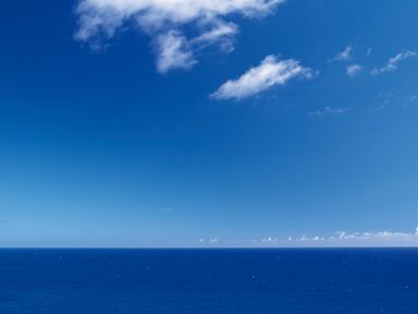 060218-3-nature.jpg