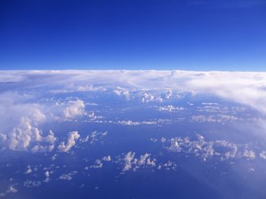 060219-1-nature.jpg