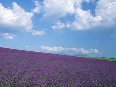 060222-2-nature.jpg