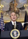 060509-1-bush.jpg