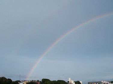 060520-1-niji.jpg