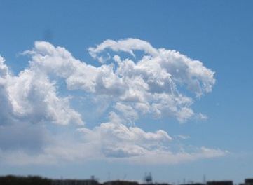 060611-1-kumo.jpg