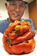 060726-2-jinmen_tomato.jpg