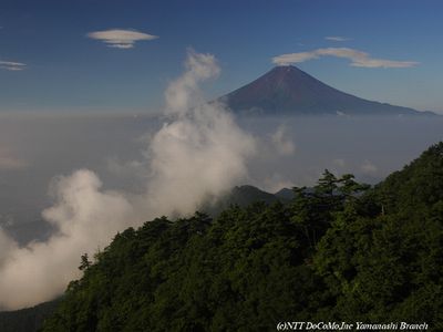 060728-4-fuji3_0703.jpg