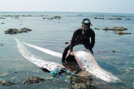 060809-1-tukai.jpg