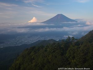 060820-2-fuji0819-0530.jpg